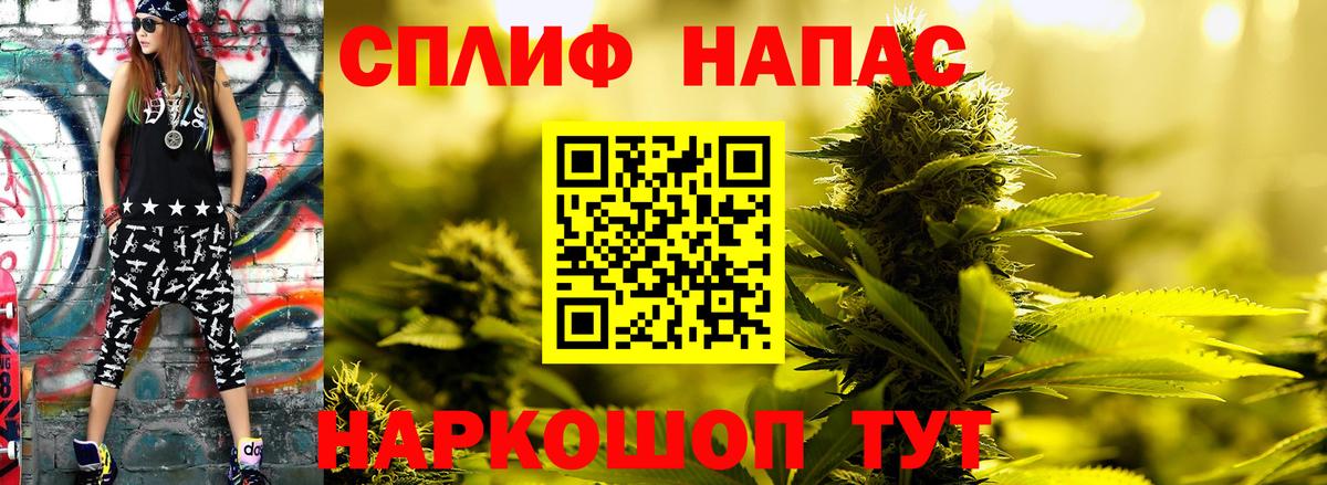 Ачхой-Мартан  Конопля MAZAR  Шишки марихуана планчик  Марихуана семена  Вход с VPN 